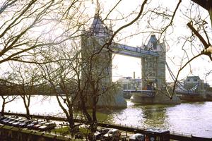 和歌山駅すぐ近く！東横INNJR和歌山駅東口の魅力と特徴
