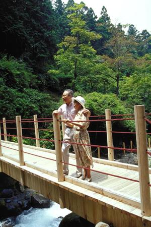 愛媛県松山市に位置する東横INN松山一番町：快適な滞在と便利なアクセスを提供するビジネスホテル