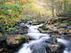 名古屋駅から徒歩5分の快適ビジネスホテル：東横INN名古屋駅桜通口新館の魅力と詳細情報
