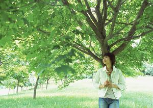 東横INN日本橋三越前A4｜東京都心のアクセス抜群なビジネスホテル