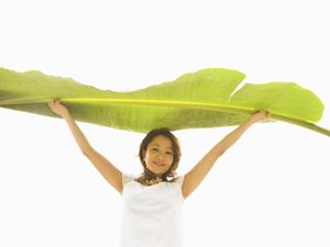 東京都汐留エリアに位置する「ホテル ヴィラフォンテーヌ グランド東京汐留」の魅力と詳細情報