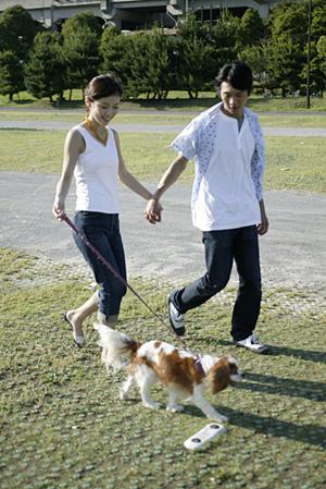 鹿児島中央駅西口徒歩1分の快適ビジネスホテル｜東横INN鹿児島中央駅西口の魅力と詳細情報