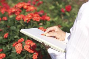 【公式情報】東横INN伊勢松阪駅前｜三重県松阪市のビジネスと観光に最適な快適ホテル