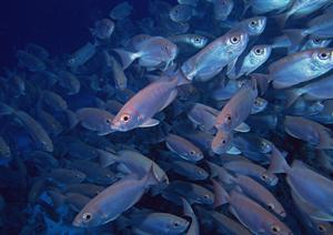 福岡県北九州市小倉駅近くのビジネスホテル【東横INN小倉駅北口】詳細ガイド