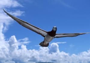 東横INN東広島駅前：快適な滞在と便利なアクセスが魅力のビジネスホテル