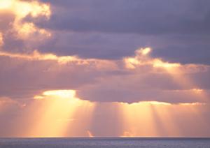 韓国・昌原市にある東横INN昌原の魅力と最新情報：快適な宿泊体験を提供するビジネスホテル