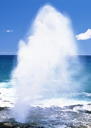 2026年最新版：薩摩川内市で見つかるおすすめリサイクルショップの選び方と活用術