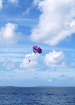 神奈川県平塚市にある東横INN湘南平塚駅北口2の魅力と詳細情報