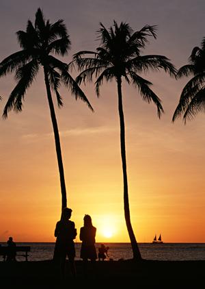 静岡市にある中島屋グランドホテルのレストラン「クロスロード」の魅力と特徴