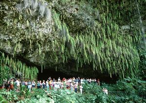 熊本駅近くのおすすめビジネスホテル【東横INN熊本駅前】：快適な滞在と便利なアクセスを実現