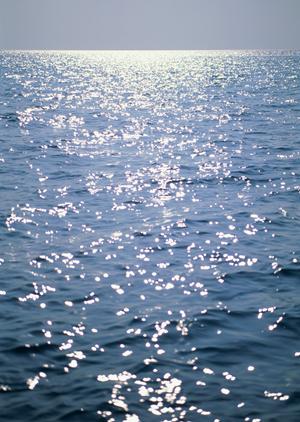 東横INN西武池袋線東久留米駅西口：快適な宿泊を提供するビジネスホテルの魅力と詳細情報