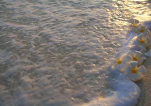 東横イン日本橋税務署前：ビジネス旅から観光まで幅広く対応する便利なビジネスホテル